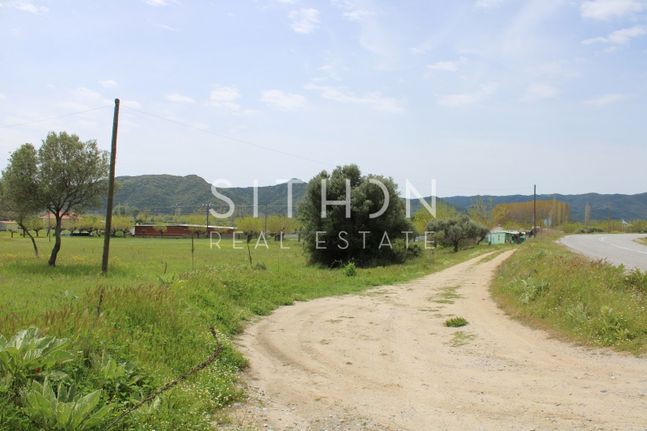 Αγροτεμάχια 5.955 τ.μ. για πώληση, Χαλκιδική, Τορώνη