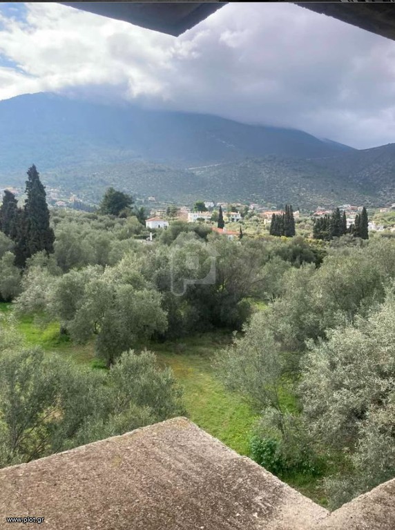 Κτίριο 360 τ.μ. προς πώληση, Λουκίσια