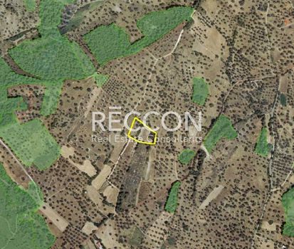 Parcel 3.651sqm for sale-Messapia » Nerotrivia