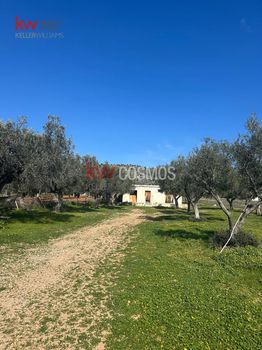 Land plot 2.597sqm for sale-Salamina