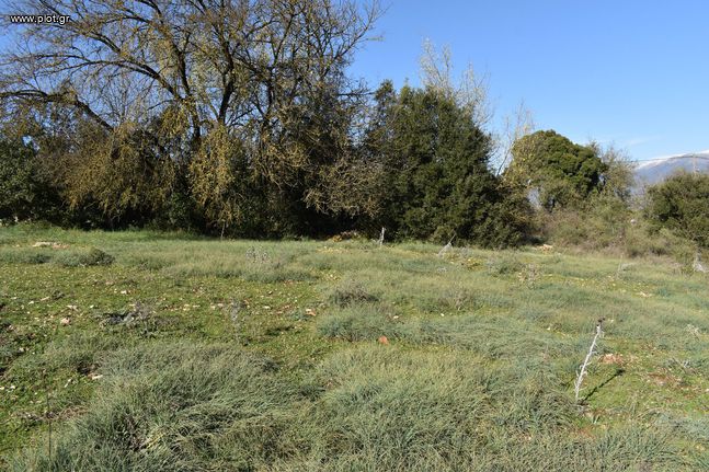Οικόπεδο 1.480 τ.μ. για πώληση, Ν. Ιωαννίνων, Ιωάννινα