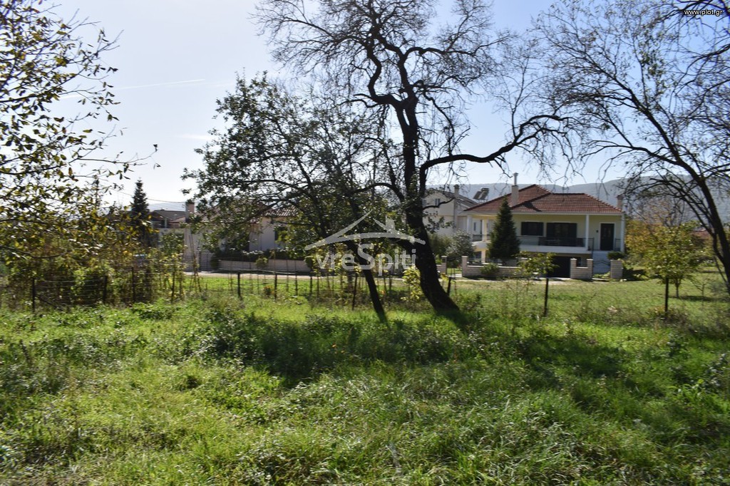 Οικόπεδο 592 τ.μ. πρός πώληση, Ν. Ιωαννίνων, Ιωάννινα