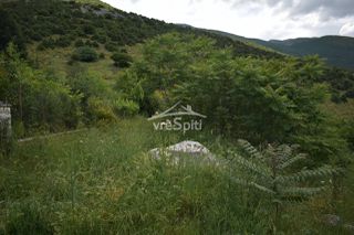 Οικόπεδο 1.000 τ.μ. για πώληση, Ν. Ιωαννίνων, Πέραμα-thumb-5
