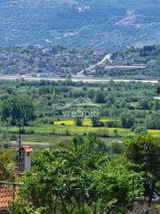 Οικόπεδο 1.000 τ.μ. για πώληση, Ν. Ιωαννίνων, Πέραμα-thumb-20
