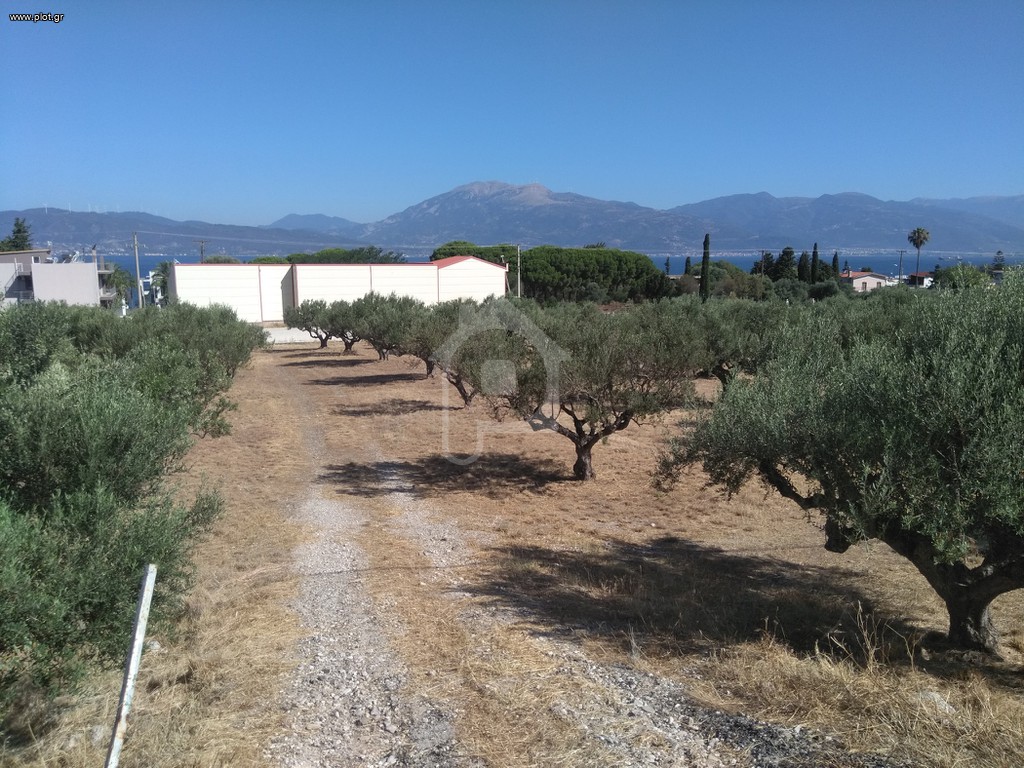 Αγροτεμάχια 5.100 τ.μ. προς πώληση, Αραχωβίτικα Ρίου
