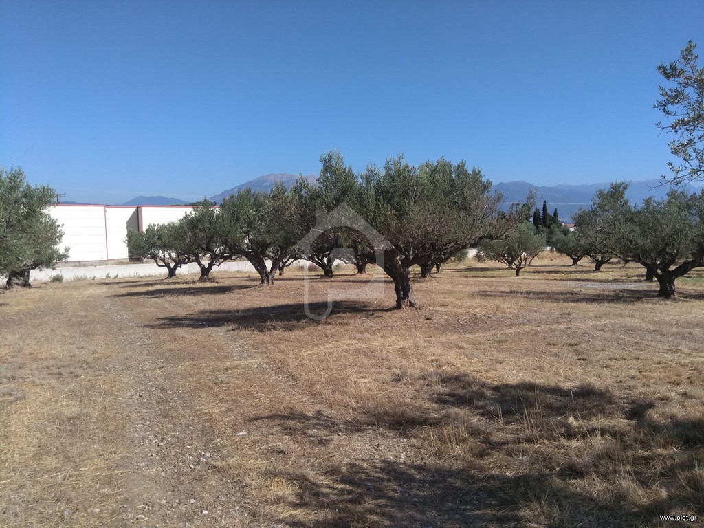 Αγροτεμάχια 5.100 τ.μ. προς πώληση, Αραχωβίτικα Ρίου