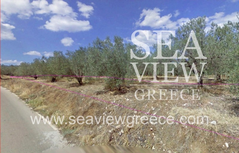 Αγροτεμάχια 8.142 τ.μ. για πώληση, Αργολίδα, Επίδαυρος