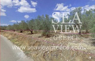 Αγροτεμάχια 8.142 τ.μ. για πώληση
