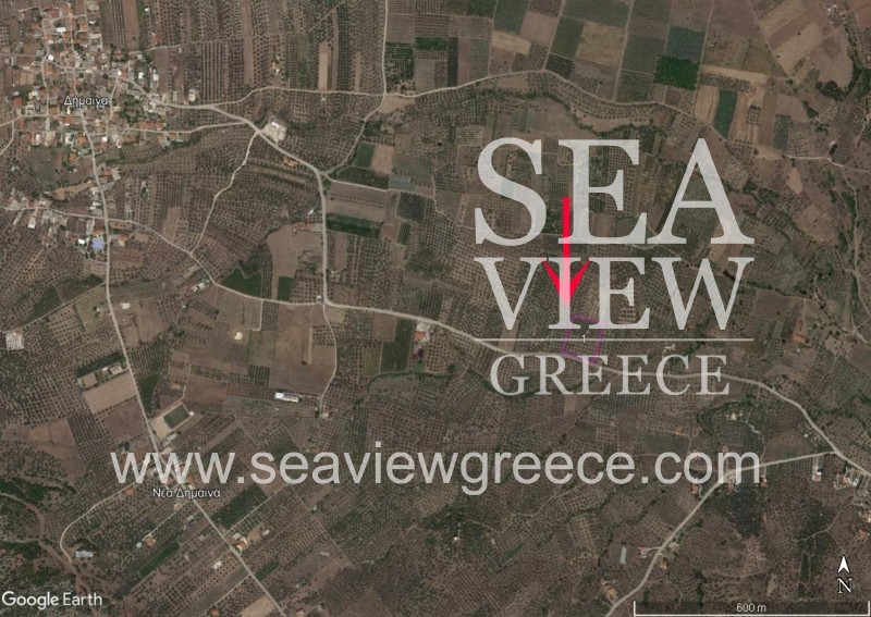 Αγροτεμάχια 8.142 τ.μ. προς πώληση, Δήμαινα