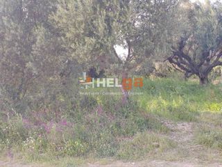 Οικόπεδο 770 τ.μ. προς πώληση, Κουκούλι-thumb-21