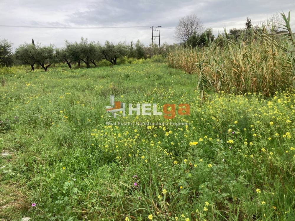 Οικόπεδο 770 τ.μ. προς πώληση, Κουκούλι