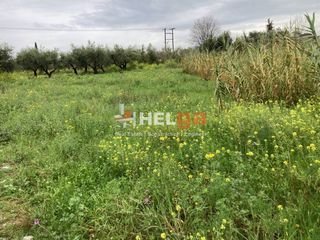 Οικόπεδο 770 τ.μ. προς πώληση, Κουκούλι-thumb-4