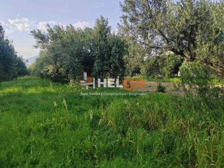 Οικόπεδο 770 τ.μ. προς πώληση, Κουκούλι-thumb-19
