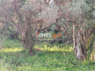 Οικόπεδο 770 τ.μ. προς πώληση, Κουκούλι-thumb-12