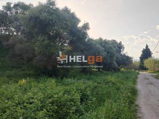 Οικόπεδο 770 τ.μ. προς πώληση, Κουκούλι-thumb-13