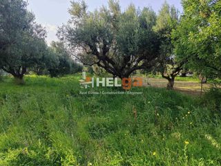 Οικόπεδο 770 τ.μ. προς πώληση, Κουκούλι-thumb-15