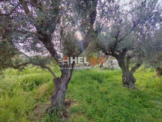 Οικόπεδο 770 τ.μ. προς πώληση, Κουκούλι-thumb-25