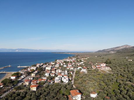 Οικόπεδο 528τ.μ. για πώληση-Θάσος » Σκάλα σωτήρος