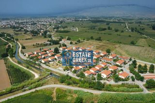 Αγροτεμάχια 8.500 τ.μ. για πώληση
