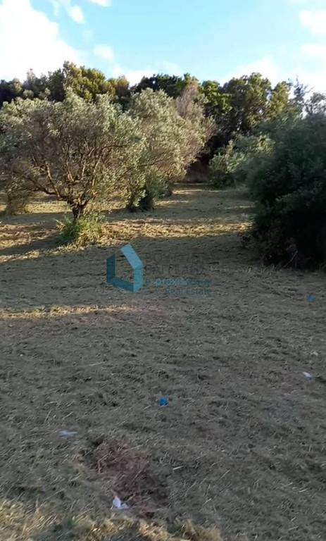 Αγροτεμάχια 700 τ.μ. προς πώληση, Αγυιά