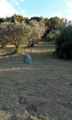 Αγροτεμάχια 700 τ.μ. προς πώληση, Αγυιά-thumb-4