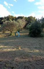 Αγροτεμάχια 700 τ.μ. για πώληση