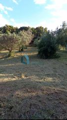 Αγροτεμάχια 700 τ.μ. προς πώληση, Αγυιά-thumb-2