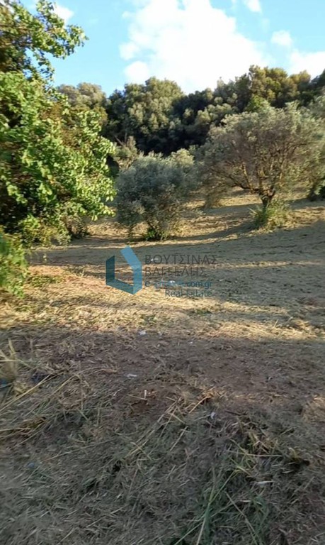 Αγροτεμάχια 700 τ.μ. προς πώληση, Αγυιά