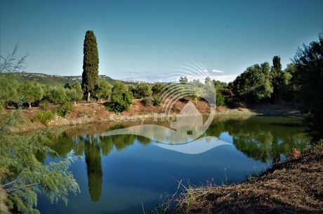 Οικόπεδο 16.200τ.μ. για πώληση-Γαργαλιάνοι » Λαγκουβάρδος