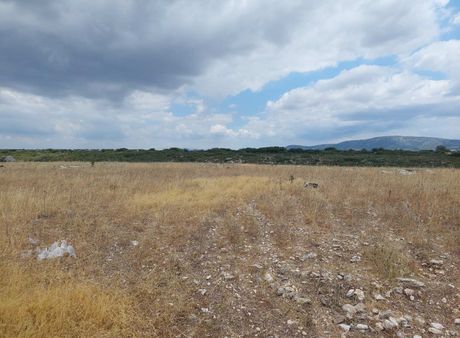 Αγροτεμάχια 4.024τ.μ. για πώληση-Καλλικράτεια