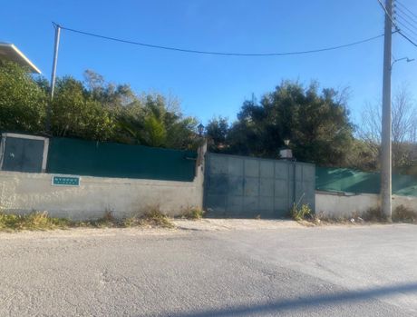 Αγροτεμάχια 751 τ.μ. για πώληση