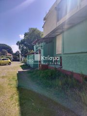 Κατάστημα 220 τ.μ. για ενοικίαση, Ν. Ηλείας, Πύργος-thumb-11