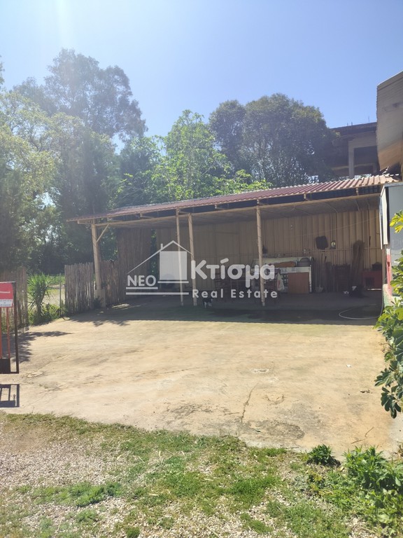 Κατάστημα 220 τ.μ. προς ενοικίαση, Κέντρο Πύργου