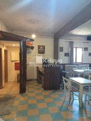 Κατάστημα 220 τ.μ. για ενοικίαση, Ν. Ηλείας, Πύργος-thumb-3