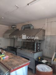 Κατάστημα 220 τ.μ. για ενοικίαση, Ν. Ηλείας, Πύργος-thumb-17