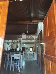 Κατάστημα 220 τ.μ. για ενοικίαση, Ν. Ηλείας, Πύργος-thumb-5