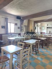 Κατάστημα 220 τ.μ. για ενοικίαση, Ν. Ηλείας, Πύργος-thumb-23