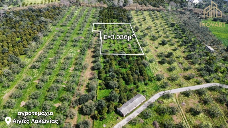 Αγροτεμάχια 3.036 τ.μ. προς πώληση, Αιγίες