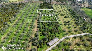 Αγροτεμάχια 3.036 τ.μ. για πώληση