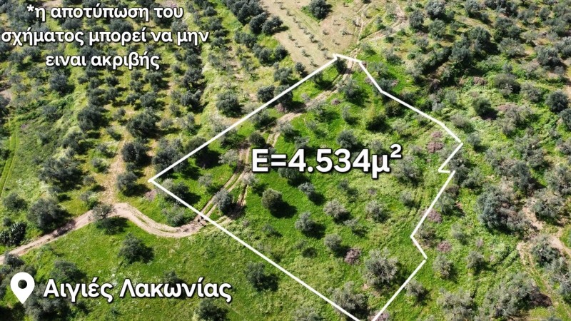 Αγροτεμάχια 4.534 τ.μ. προς πώληση, Αιγίες