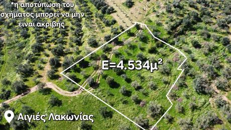 Αγροτεμάχια 4.534 τ.μ. για πώληση