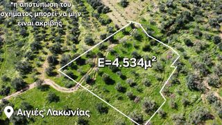 Αγροτεμάχια 4.534 τ.μ. για πώληση
