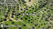 Parcel 4.534sqm for sale-Githeio » Aigies