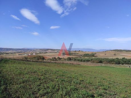 Αγροτεμάχια 4.200τ.μ. για πώληση-Σταγείρων - ακάνθου » Νέα ρόδα