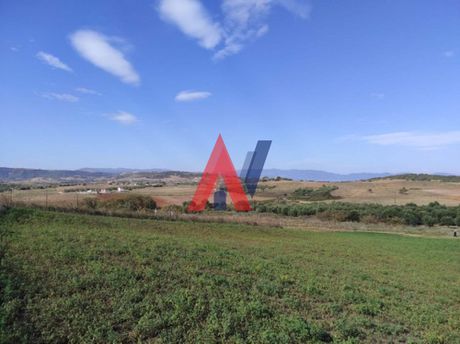 Αγροτεμάχια 4.800τ.μ. για πώληση-Σταγείρων - ακάνθου » Νέα ρόδα