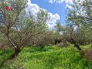 Land plot 2.015sqm for sale-Platanias