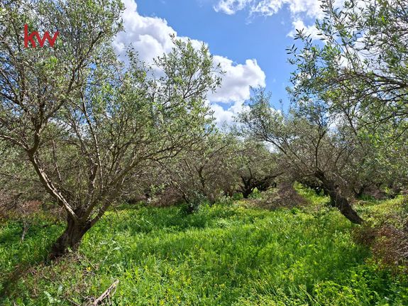 Land plot 2.015 sqm for sale, Chania Prefecture, Platanias
