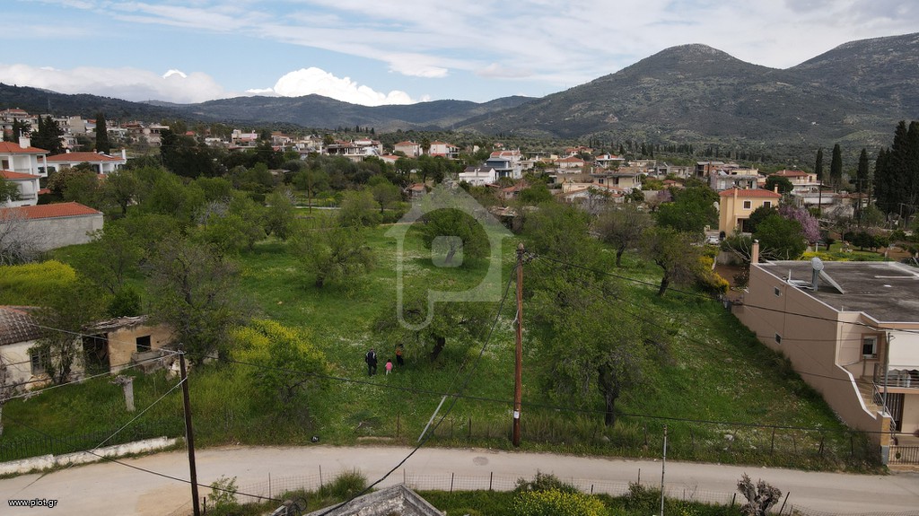 Οικόπεδο 3.680 τ.μ. προς πώληση, Γυμνό Αμαρύνθου