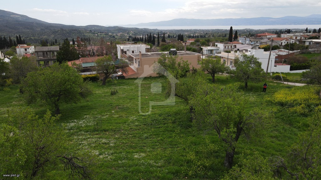 Οικόπεδο 3.680 τ.μ. προς πώληση, Γυμνό Αμαρύνθου