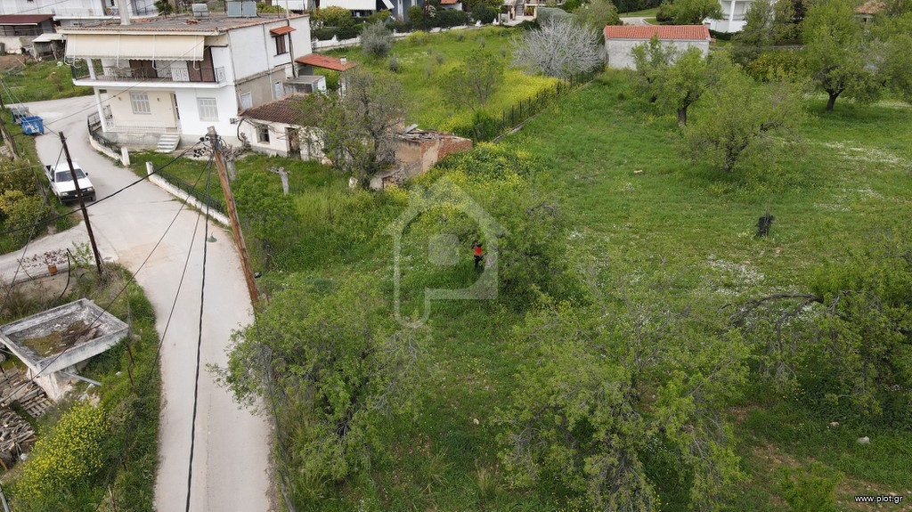 Οικόπεδο 3.680 τ.μ. προς πώληση, Γυμνό Αμαρύνθου